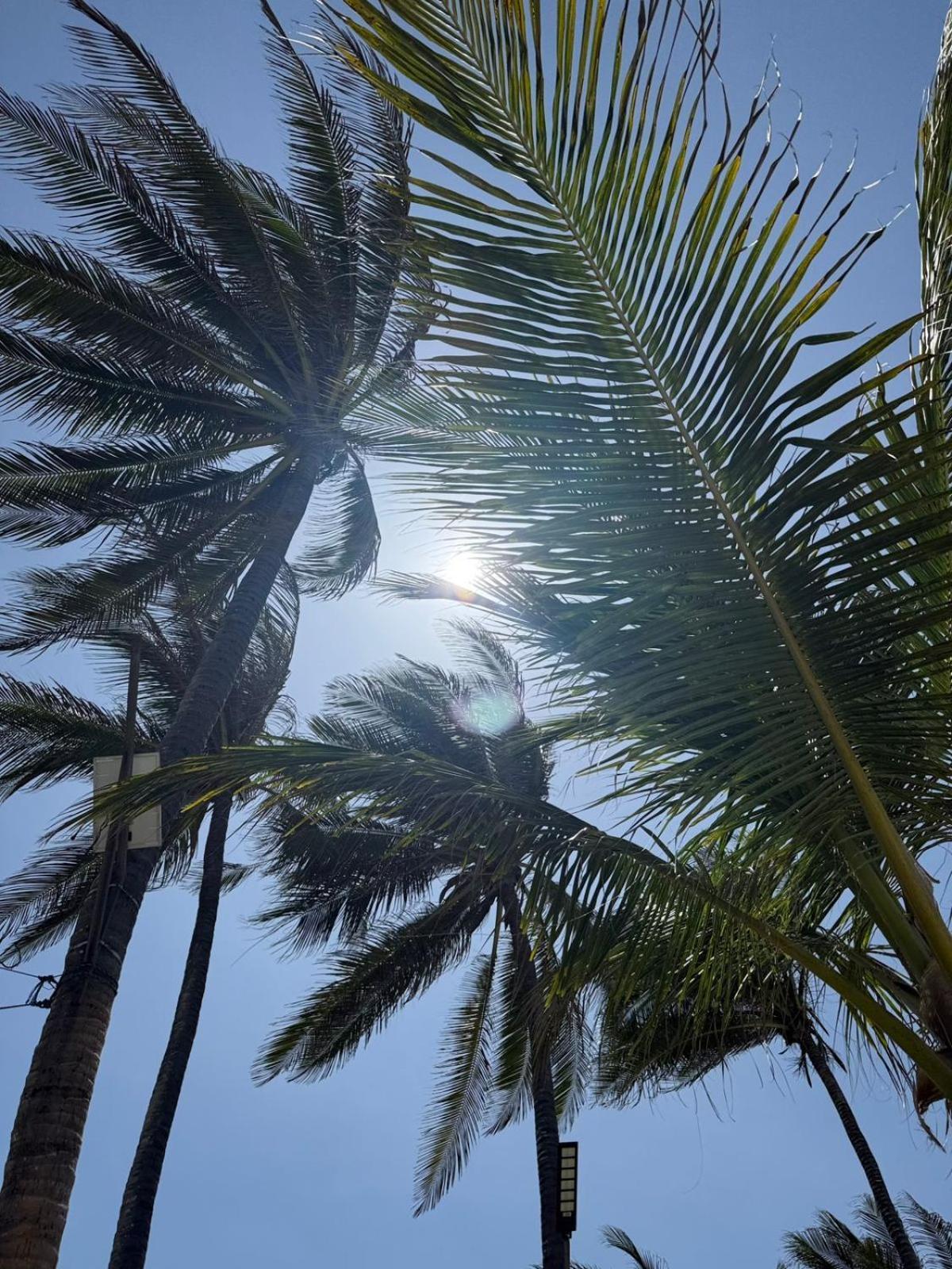 Playa Palmeras Beach Resort Cartagena 外观 照片